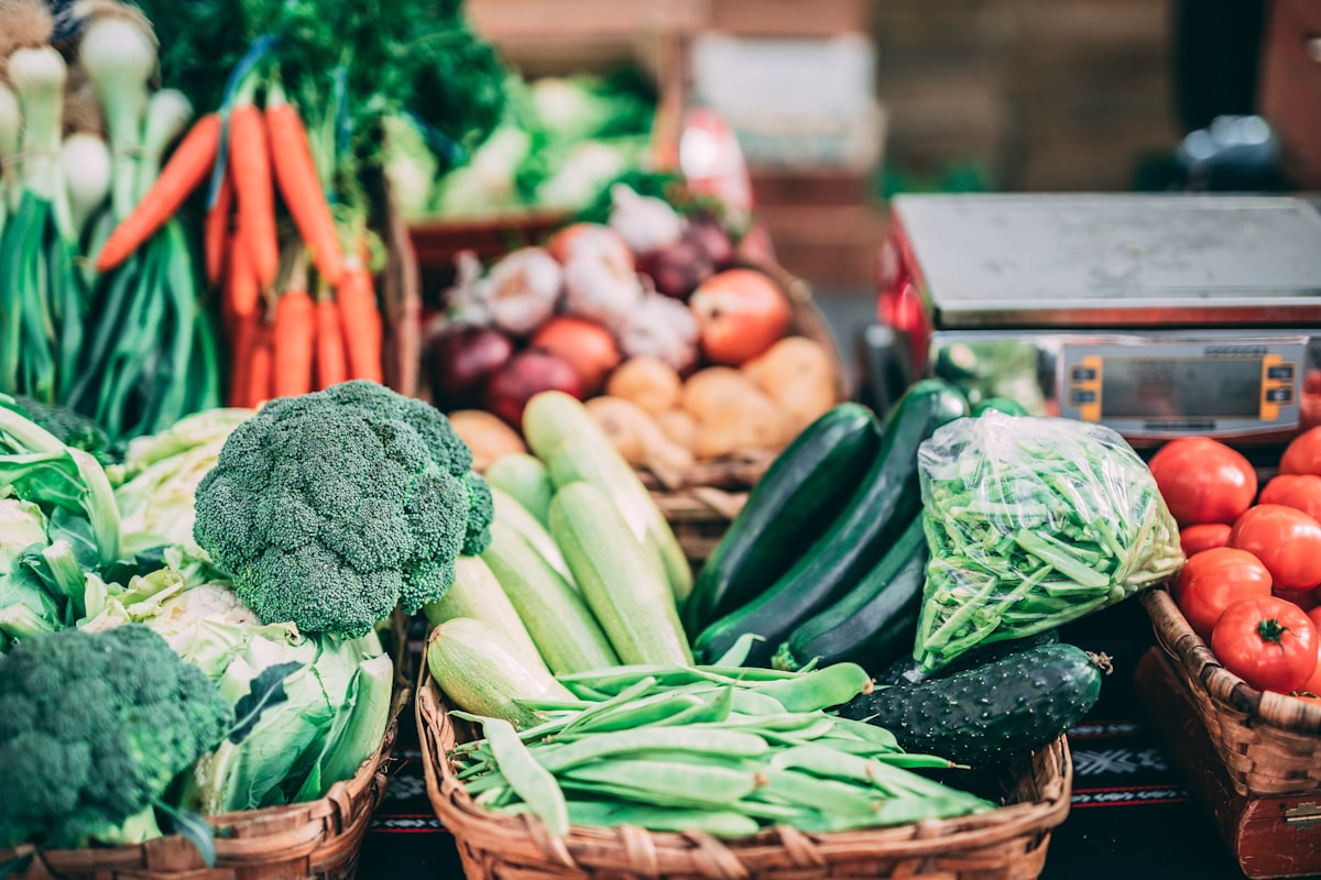 Mgr. Petra Nováková